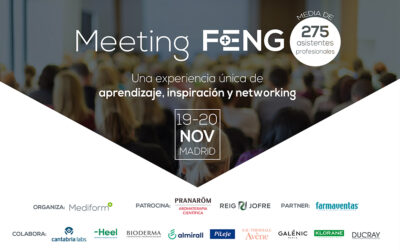 IX Meeting Feng 19 i 20 de novembre a Madrid