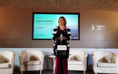 La contaminació atmosfèrica és el principal risc ambiental per a la salut