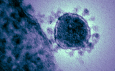 Salut descarta el cas de coronavirus