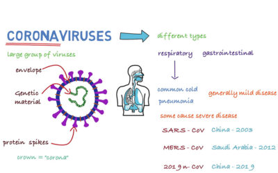 L’OMS llança un curs gratuït online per formar sobre el coronavirus