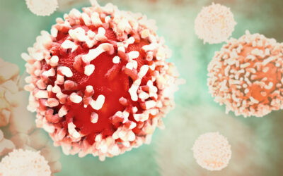 Coronavirus: Mesures que cal prendre amb els nens i les nenes a casa