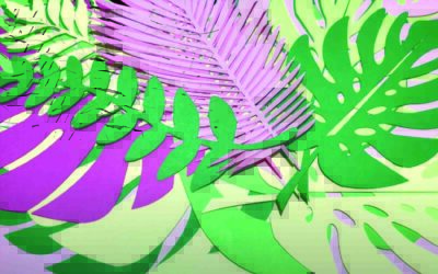 Aprèn a dissenyar el teu aparador d’estiu