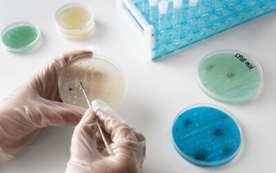 L’OMS publica la llista dels bacteris més perillosos per a la salut