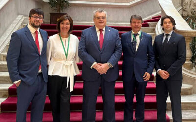 La FEFAC demana al Parlament una major integració de les farmàcies en el sistema de salut i posa en valor el seu paper per a la cohesió social i territorial